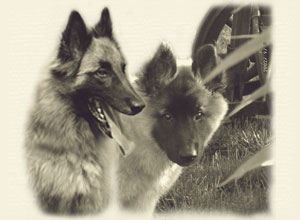 Themenbild-Aenna_Home