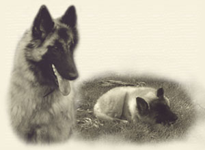 Themenbild-Aenna_Time_goes